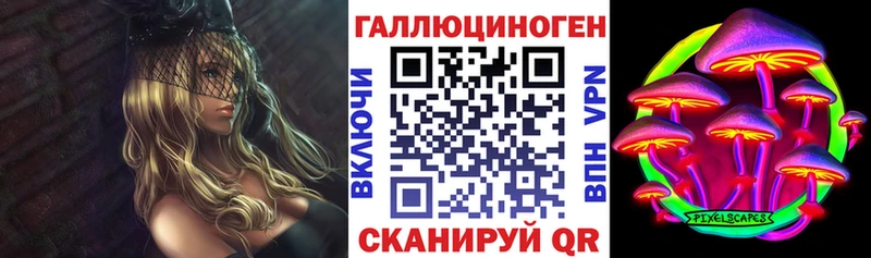 Псилоцибиновые грибы прущие грибы  Мурино 